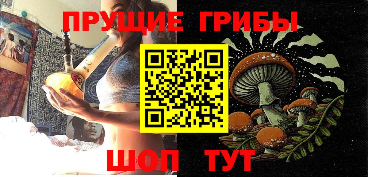 Псилоцибиновые грибы Cubensis  Вход с VPN  Каменск-Шахтинский 